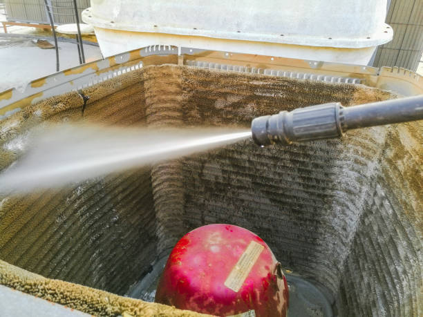 Best Air Duct Mold Removal  in Rose Hill, VA