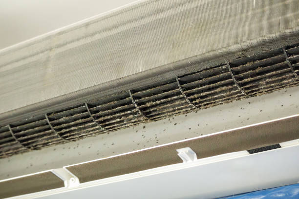 Best Best Air Duct Cleaning Company  in Rose Hill, VA